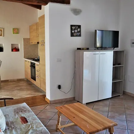 Orizonti 31 *